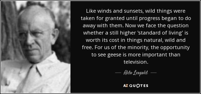 quote-like-winds-and-sunsets-wild-things-were-taken-for-granted-until-progress-began-to-do-aldo-leopold-45-57-98
